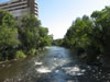 Truckee River