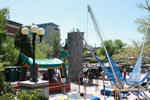 IMG 6484