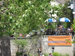 IMG 6550