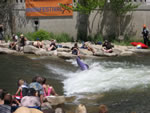 IMG 6559