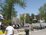 IMG 6596