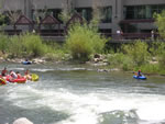 IMG 6604