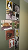 Dog Wall