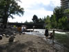 Banks of the Truckee